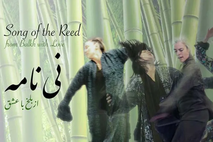 اجرای پرفورمنس «آواز نی» اثر ساشار ظریف در موزه آقاخان